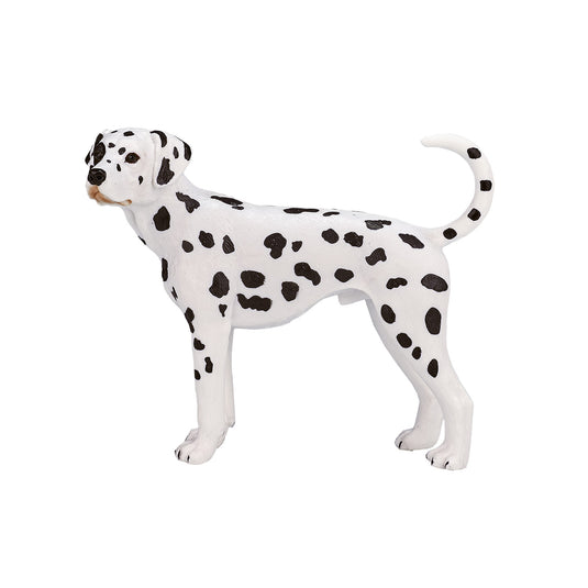Mojo farmland dalmatiër - 387248