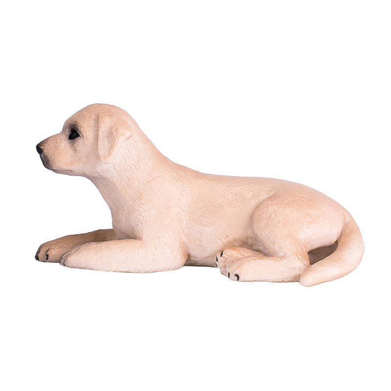 Afbeelding laden in galerijviewer, Mojo farmland labrador puppy - 387272
