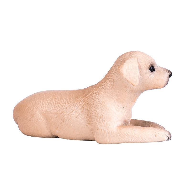 Afbeelding laden in galerijviewer, Mojo farmland labrador puppy - 387272
