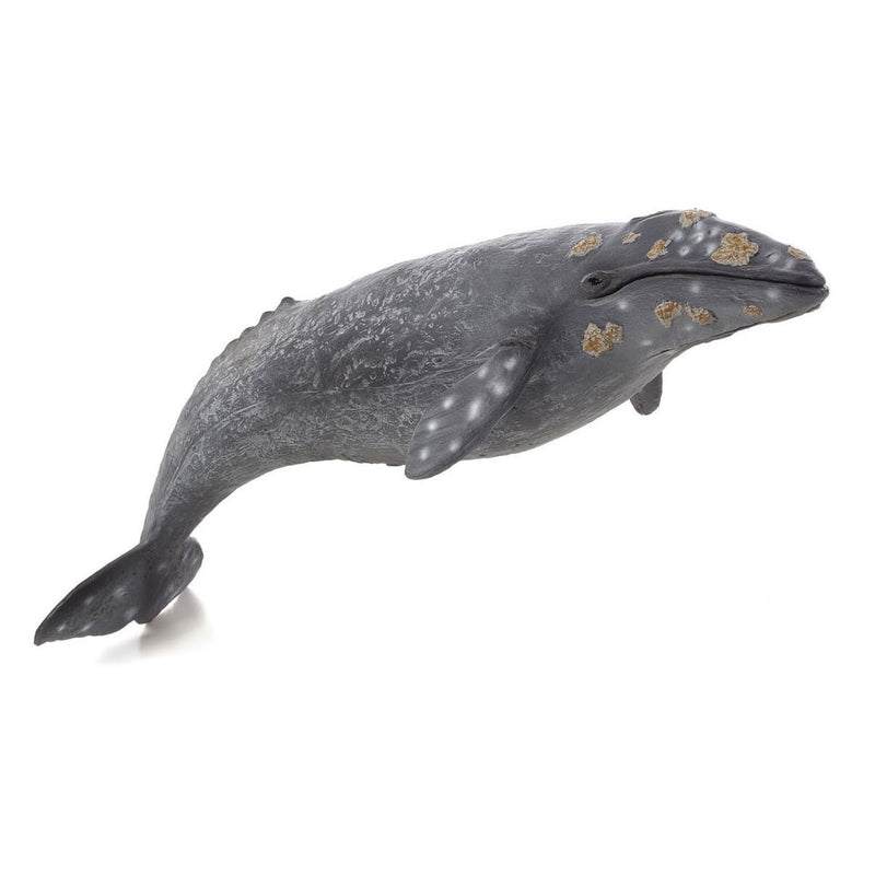 Load image into Gallery viewer, Mojo sealife - grijze walvis 387280
