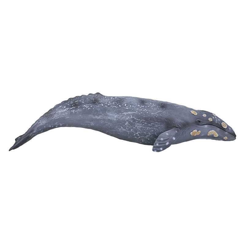 Load image into Gallery viewer, Mojo sealife - grijze walvis 387280
