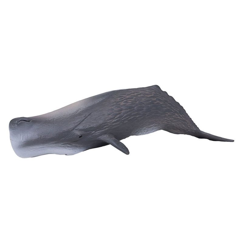 Load image into Gallery viewer, Mojo Sealife Potvis 387210
