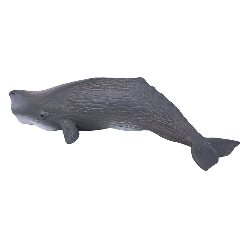 Load image into Gallery viewer, Mojo Sealife Potvis 387210
