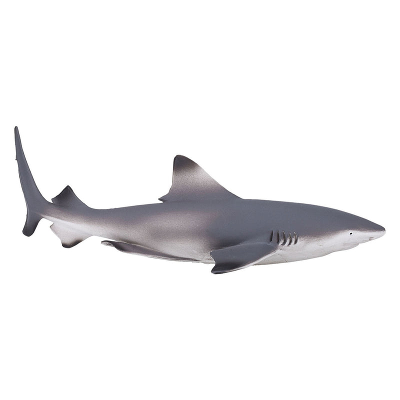 Load image into Gallery viewer, Mojo sealife zwartpuntrifhaai 387357
