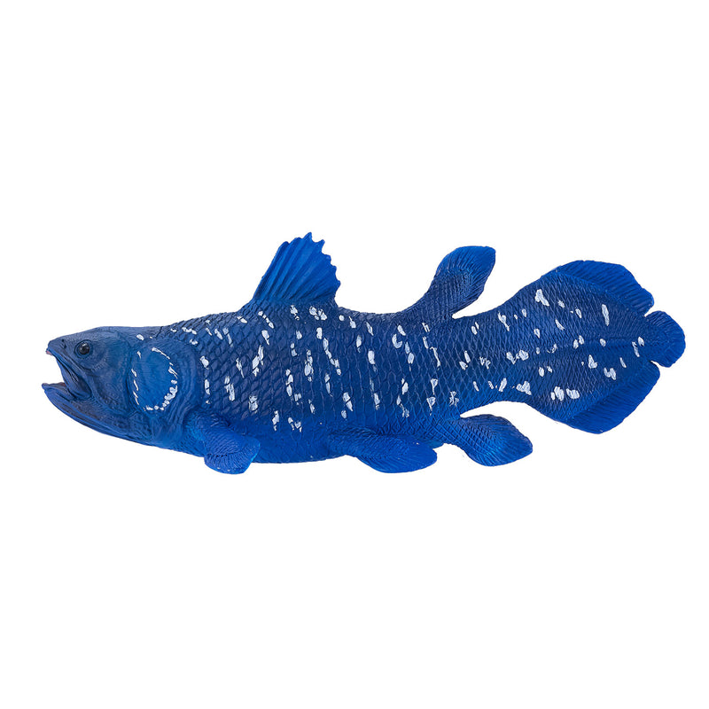 ギャラリービューアに画像をロードする, Mojo sealife coelacanth - 381050
