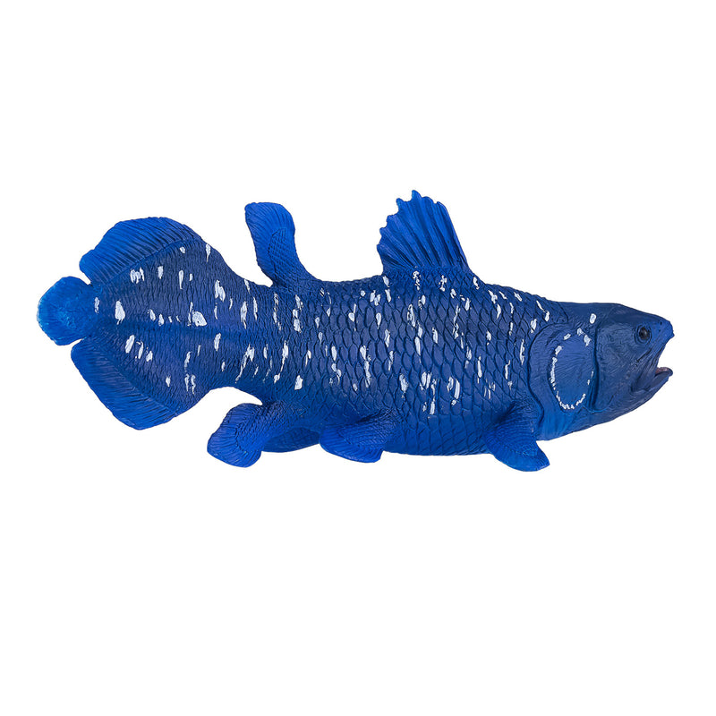 ギャラリービューアに画像をロードする, Mojo sealife coelacanth - 381050
