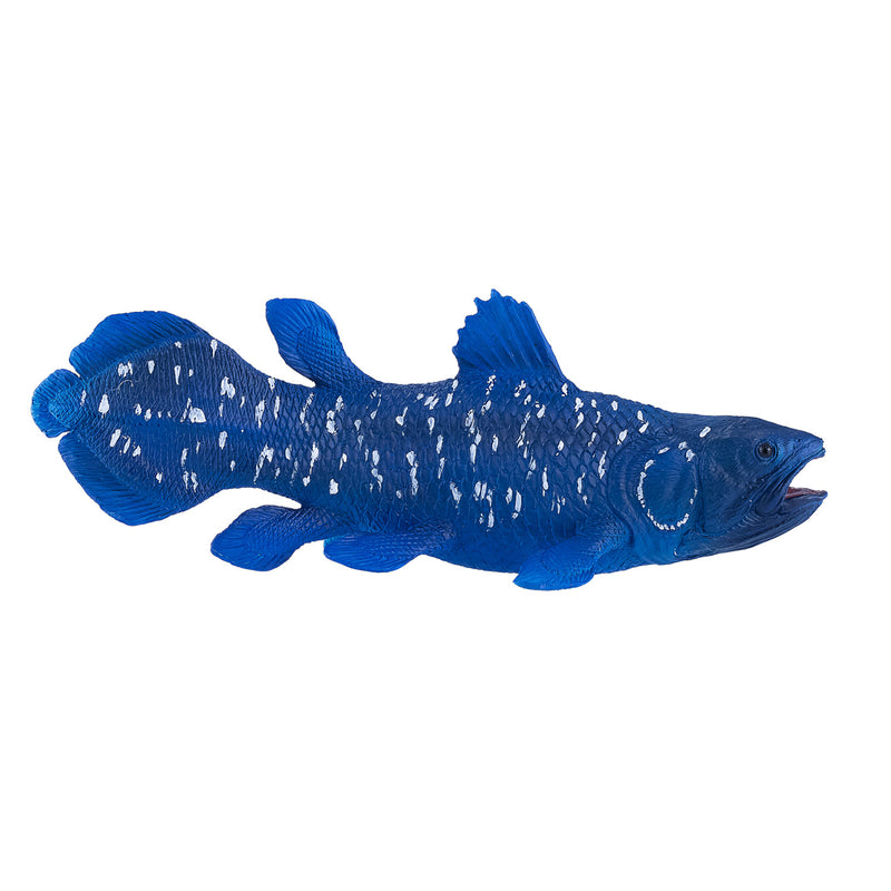 ギャラリービューアに画像をロードする, Mojo sealife coelacanth - 381050
