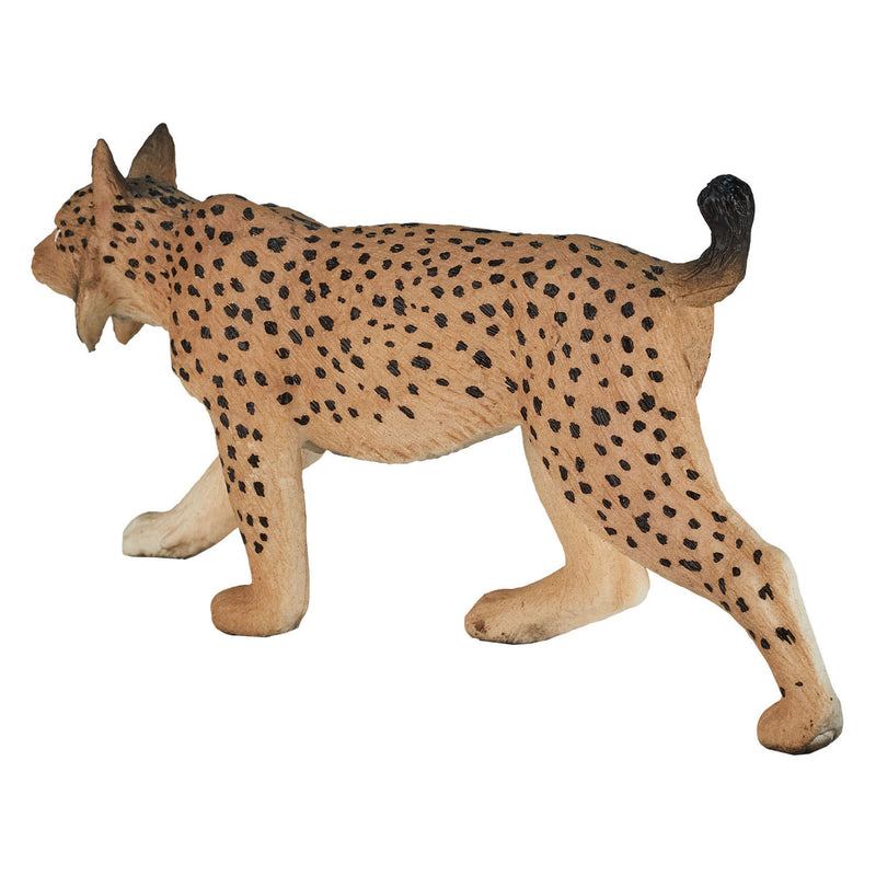 ギャラリービューアに画像をロードする, Mojo wildlife iberische lynx - 387064
