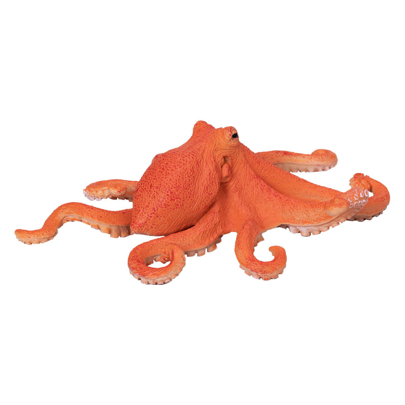 ギャラリービューアに画像をロードする, Mojo sealife octopus - 381036
