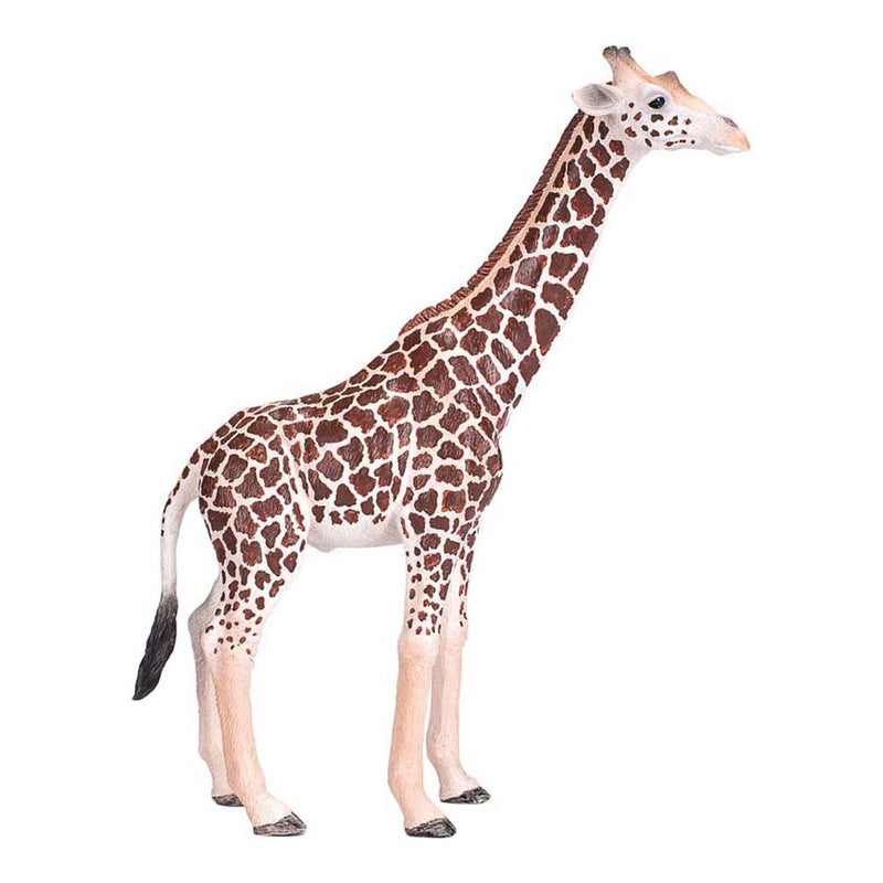 Chargez l'image dans la visionneuse de la galerie, Mojo wildlife wilde dieren safari speelset, 6dlg. - 380026
