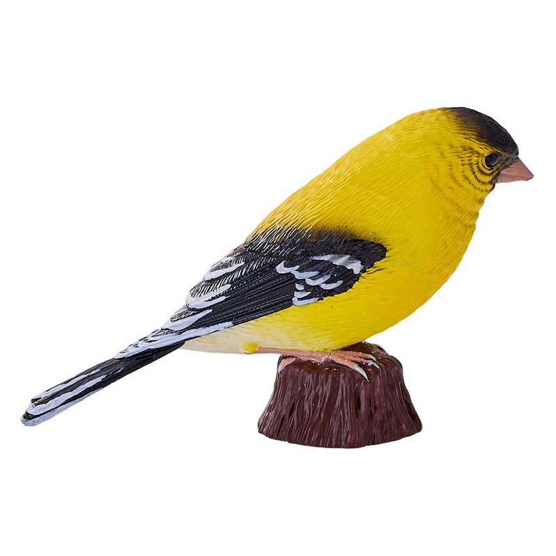 Load image into Gallery viewer, Mojo farmland amerikaanse goudvink - 381111
