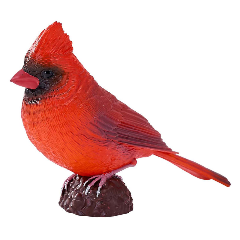 Load image into Gallery viewer, Mojo farmland rode kardinaal - 381117
