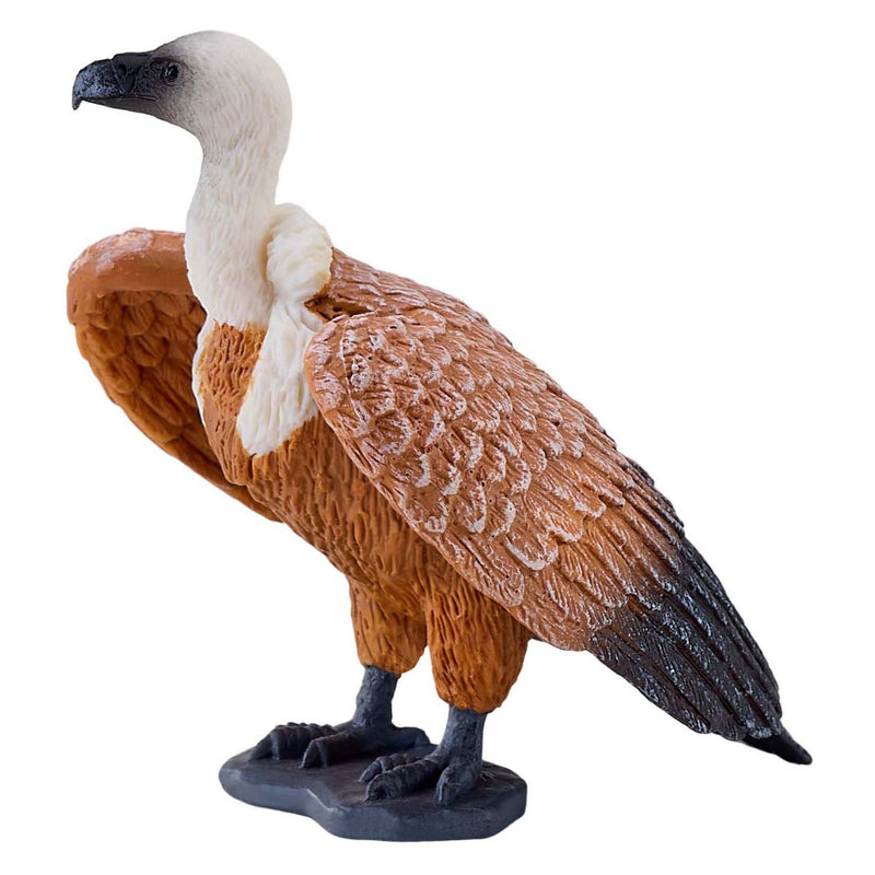 ギャラリービューアに画像をロードする, Mojo wildlife vale gier - 381099
