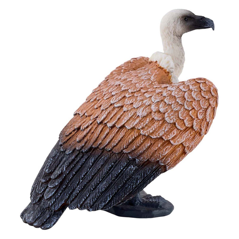 ギャラリービューアに画像をロードする, Mojo wildlife vale gier - 381099
