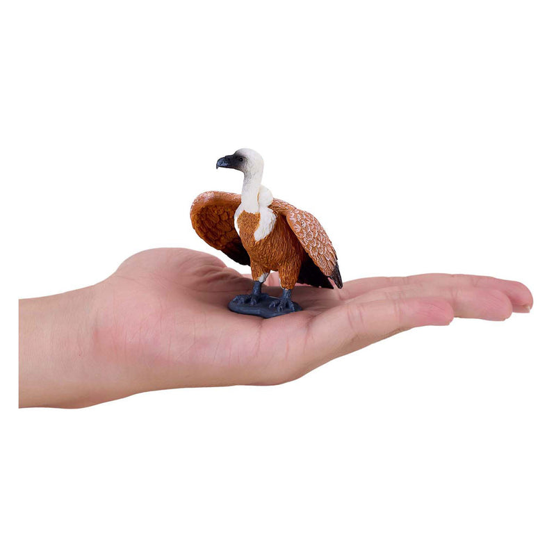 ギャラリービューアに画像をロードする, Mojo wildlife vale gier - 381099
