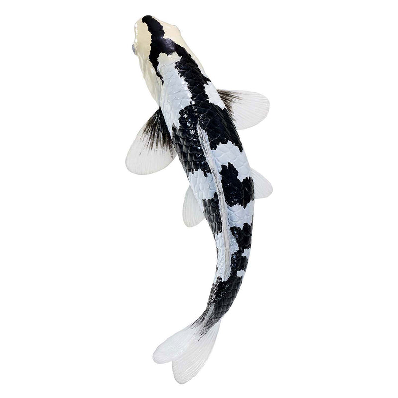 ギャラリービューアに画像をロードする, Mojo sealife koi karper - shiro utsuri koi - 381102
