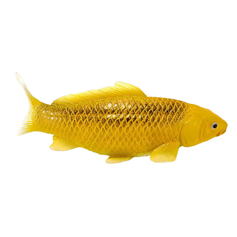 ギャラリービューアに画像をロードする, Mojo sealife koi karper - kin matsuba koi - 381105
