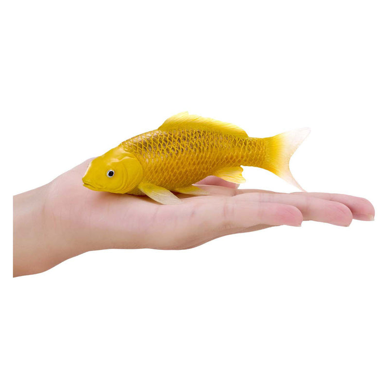 Load image into Gallery viewer, Mojo sealife koi karper - kin matsuba koi - 381105
