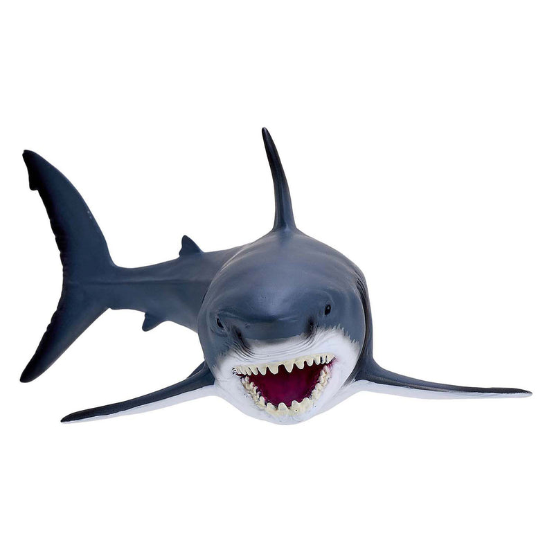 ギャラリービューアに画像をロードする, Mojo sealife witte haai - 381109

