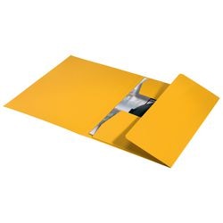 3-klepsmap leitz 39060015 geel 100 g