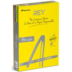 Gekleurd papier rey ryada080x911 kleurenassortiment 80 g m²