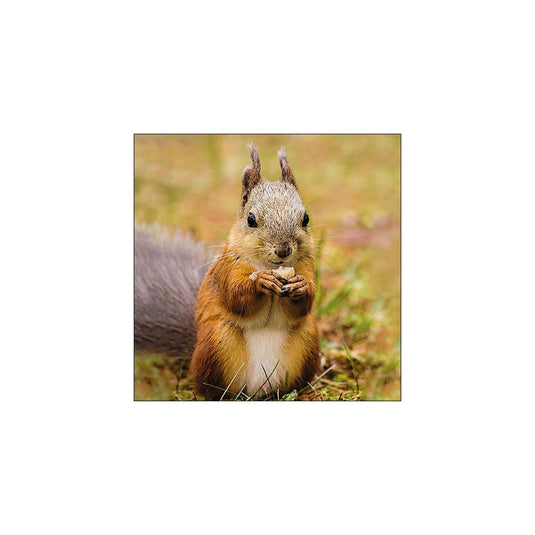 Ambiente servetten eekhoorn 33cm