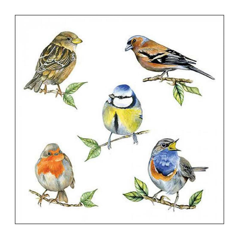 Load image into Gallery viewer, Ambiente servet 33 bird species white
