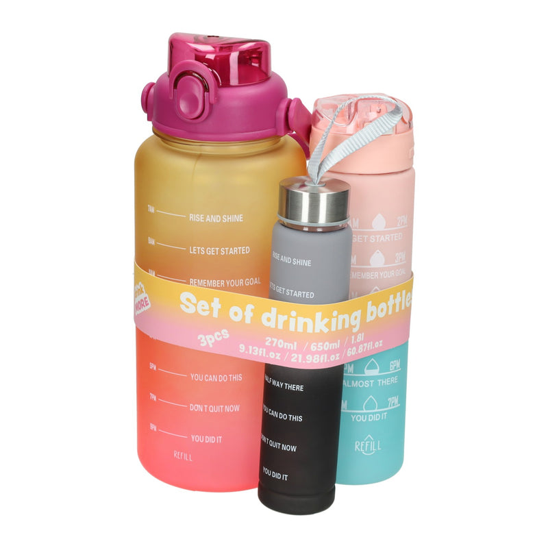 Afbeelding laden in galerijviewer, Set drinkflessen 270ml, 650ml en 1800ml

