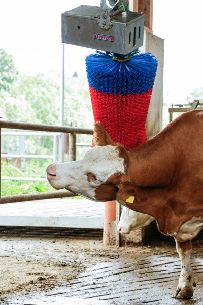 Load image into Gallery viewer, Happycow koeborstel maxiswing
