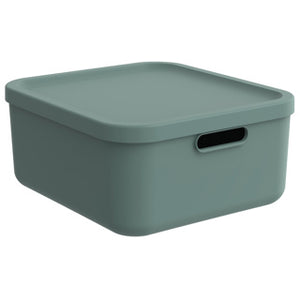 Rotho decoratie opbergbox albula light 20 l mistletoe groen