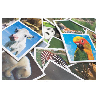 Tactic memo babydieren - memospel - zoek de juiste paren - schattige jonge dieren van over de hele wereld - educatief gezelschapsspel voor kinderen en families - 2 tot 6 spelers - vanaf 3 jaar