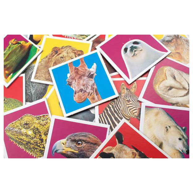 Load image into Gallery viewer, Tactic wildlife memo
