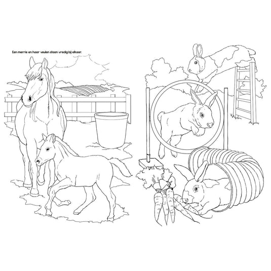 Selecta kleurboek boerderijdieren