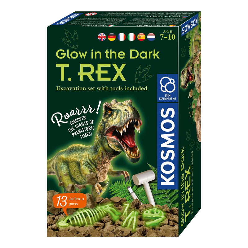 Load image into Gallery viewer, Kosmos glow in the dark t-rex bikken
