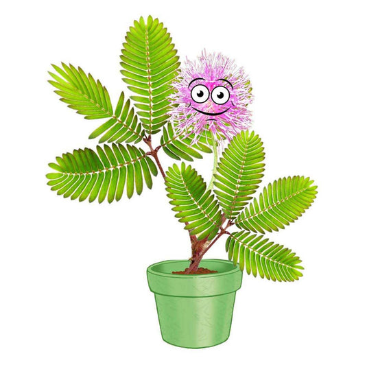 Selecta kosmos mimosa garden speelset