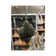 Hbx natural living deco hanger bal foldy karton 15cm groen