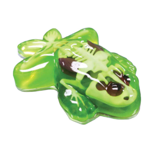 Slimy lab dissect-it ontleed een kikker