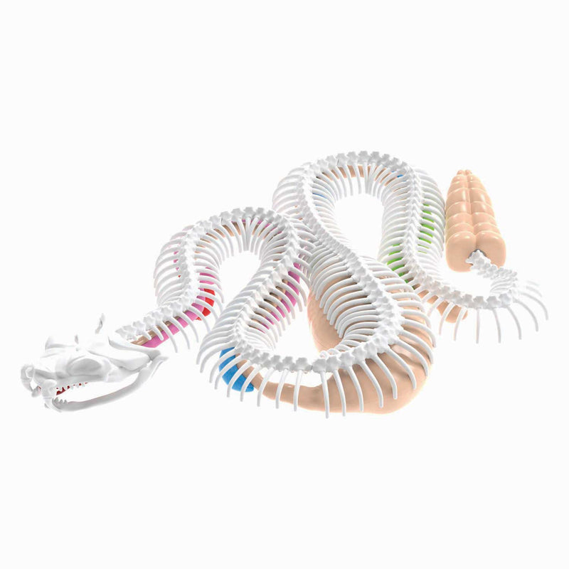 Load image into Gallery viewer, Dissect-it ontleed een ratelslang mega giftbox
