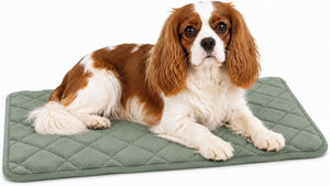 Flamingo hondenkussen - orthopedisch hondenkussen - benchkussen memory foam - weimar groen xs - hoogste kwaliteit ligcomfort - antislip - 55,5cm xs
