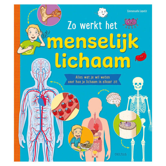 Deltas zo werkt het menselijk lichaam