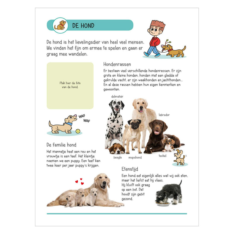 Load image into Gallery viewer, Stickerboek - Dieren in Huis en Tuin
