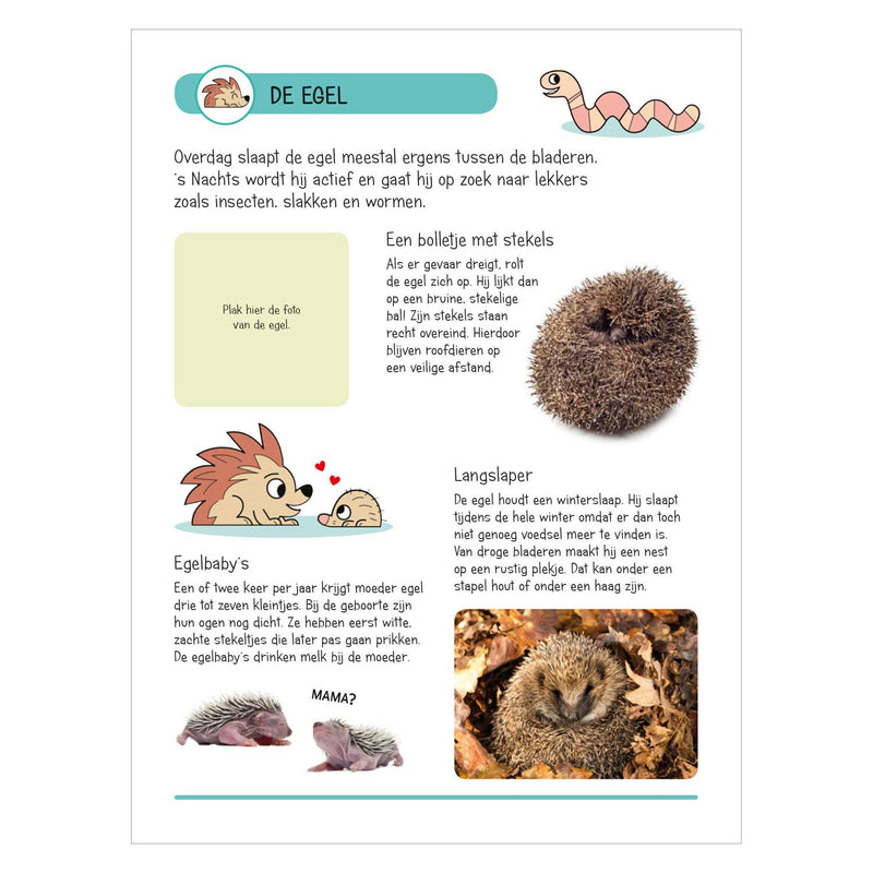 Load image into Gallery viewer, Stickerboek - Dieren in Huis en Tuin
