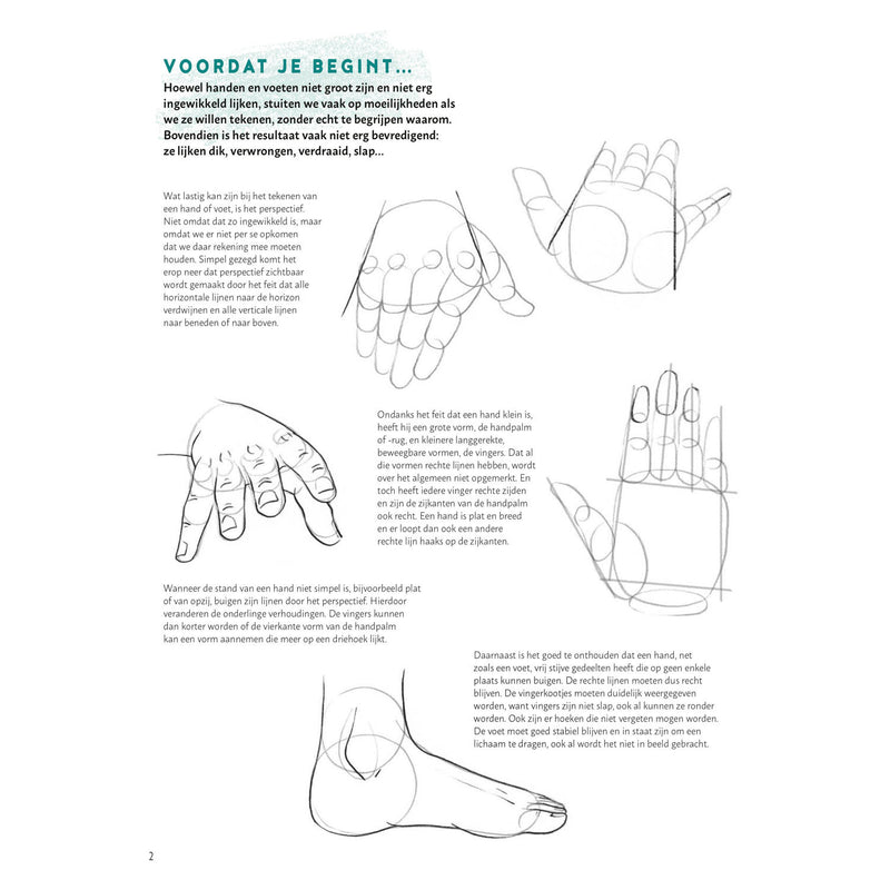 Load image into Gallery viewer, Deltas stap voor stap handen en voeten leren tekenen hobbyboek
