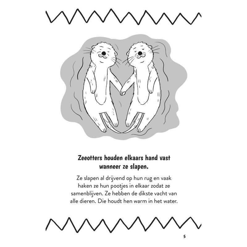 Load image into Gallery viewer, Deltas waanzinnige weetjes voor kinderen van 9 jaar kinderboek
