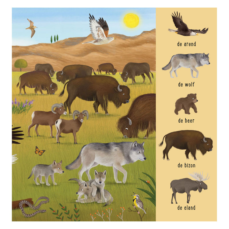 Load image into Gallery viewer, Deltas mijn eerste zoekboek - dieren uit de hele wereld
