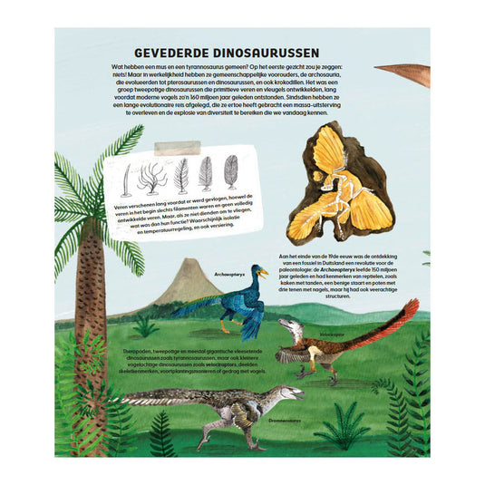 Deltas de wondere wereld van vogels