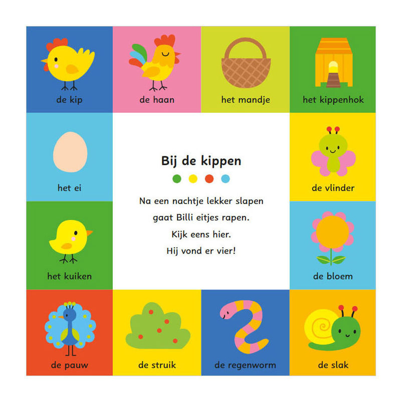 Afbeelding laden in galerijviewer, Deltas mijn allereerste woordenboek - spelen en leren met billi kartonboekje
