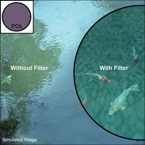 Load image into Gallery viewer, Marumi circ. pola filter exus 62 mm
