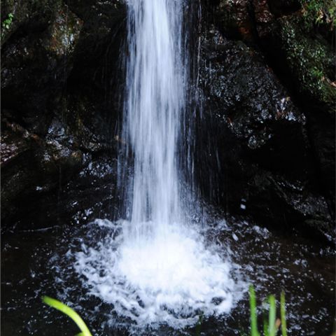Load image into Gallery viewer, Marumi grijs filter dhg nd8 67 mm
