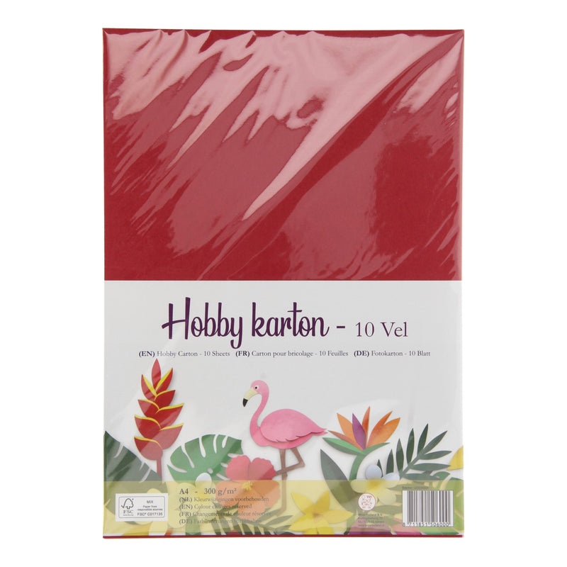 Load image into Gallery viewer, Foto Karton A4
